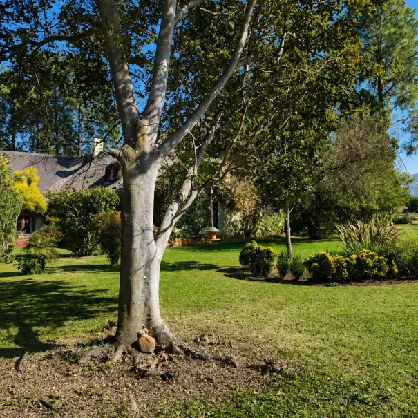 Property Garden2(1)