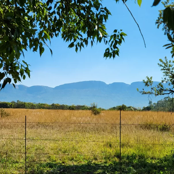 Property Mountain Fence(1)