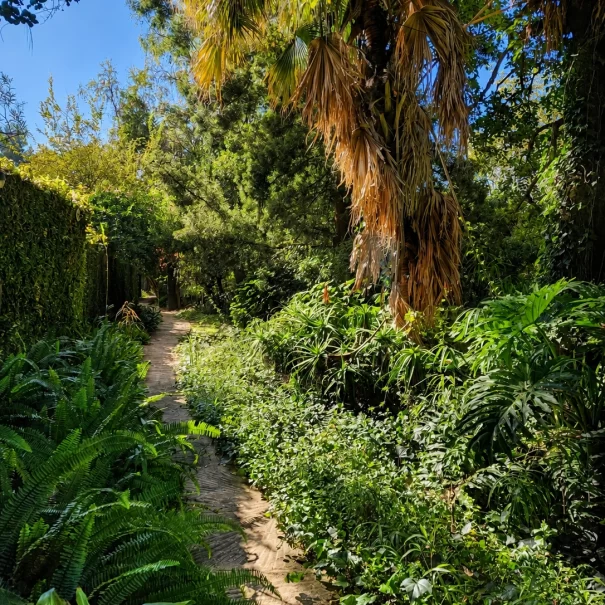 Property-Path From Room5&6