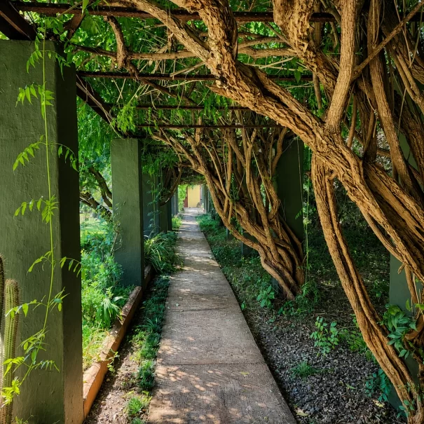 Property-Path to Games Room