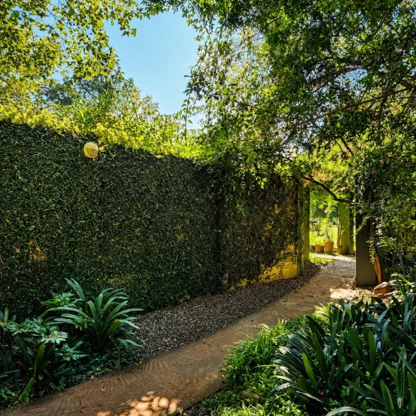 Property-Path to Games Room1