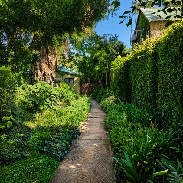 Property-Path to Room5&6