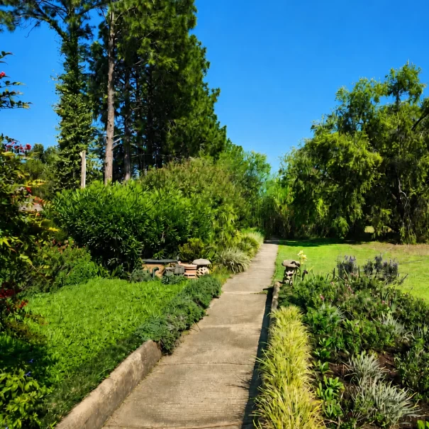 Property Path2