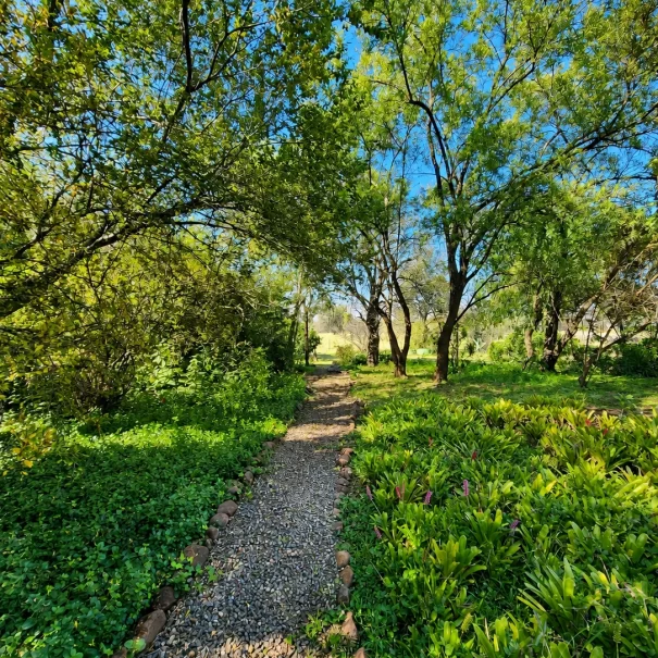 Property-Room4 Paths2
