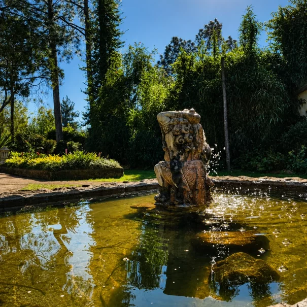 Property-Room5&6 Fountain